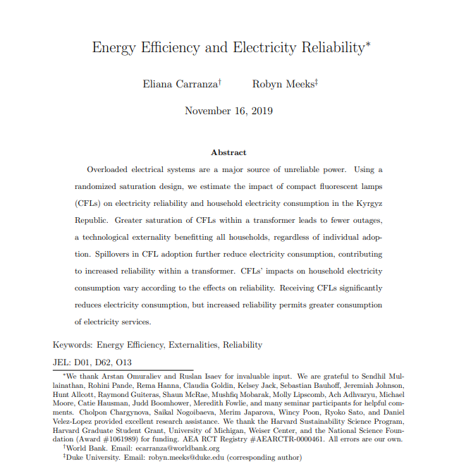 Energy Efficiency and Electricity Reliability