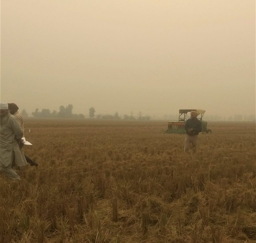 Farmers stand in a smoky field