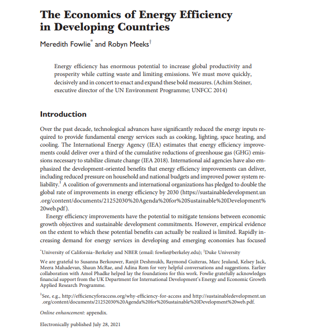 The Economics of Energy Efficiency in Developing Countries