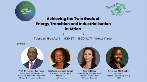 Achieving the Twin Goals of Energy Transition and Industrialization in Africa