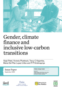 Publication cover -"Gender, climate finance and inclusive low-carbon transitions"