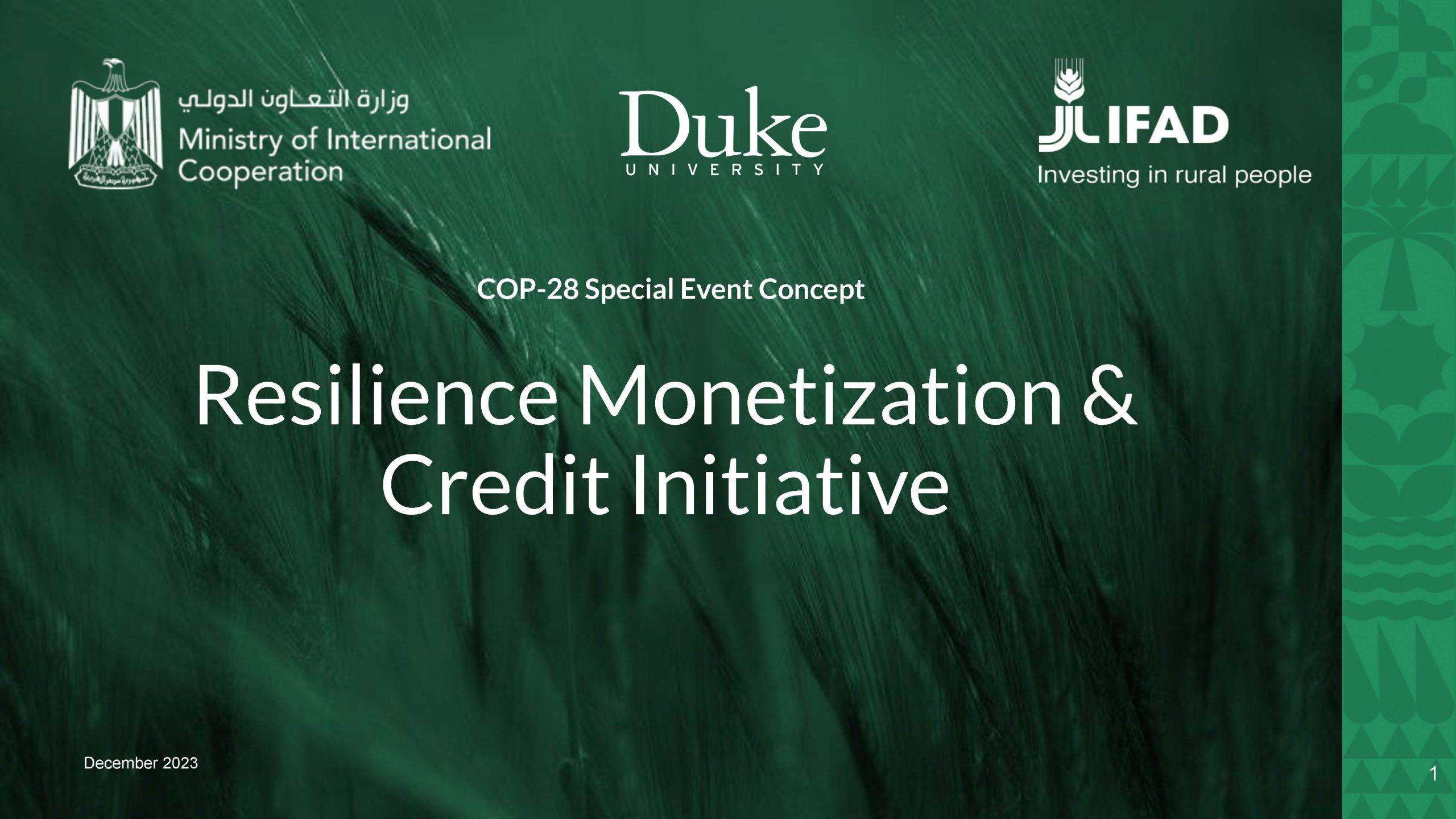 COP28: Resilience Monetization and Credit Initiative (RMCI)